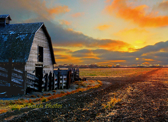 Idaho Barn