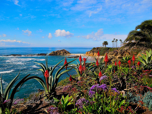 Treasure Island