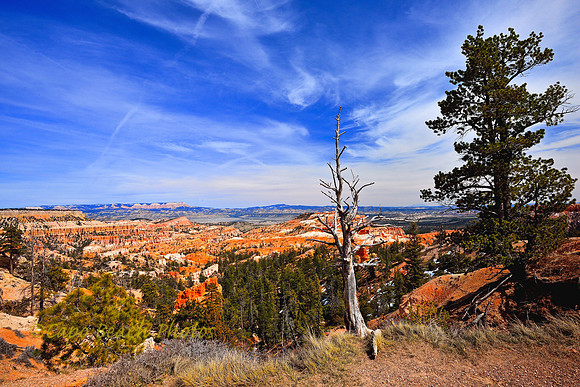 Sunrise Point Bryce