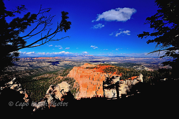 Rainbow Point Looking East