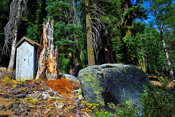 Little House In The Woods