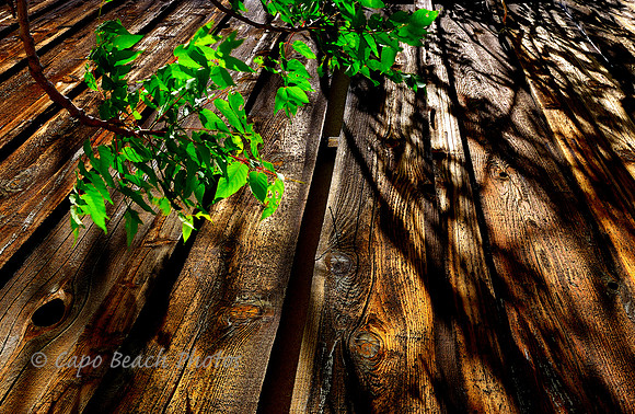 Rustic Wood Leaves