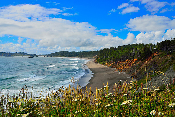 Port Orford Coast