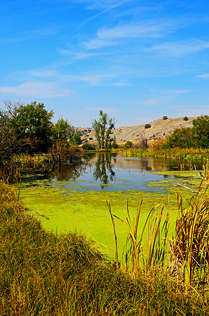 Fishing Hole