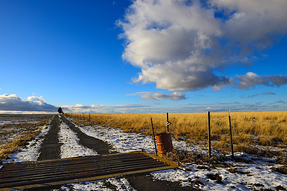 Oregon Prairie