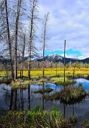 Stanley Pond