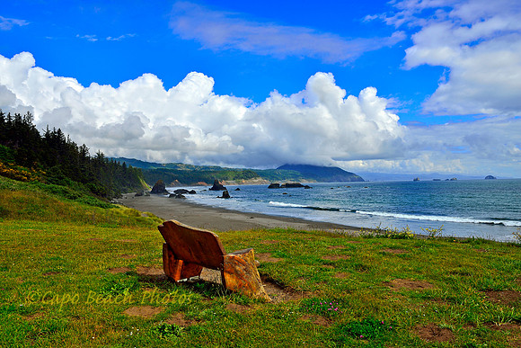 Port Orford Bench