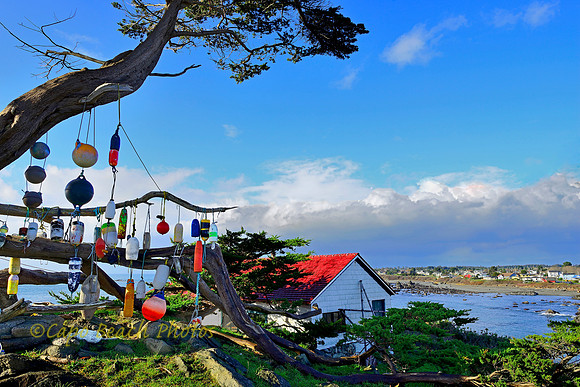 Battery Point Lookout