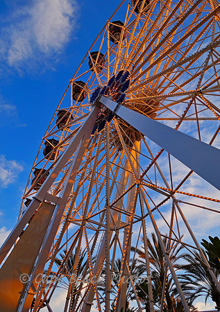 Ferris Wheel