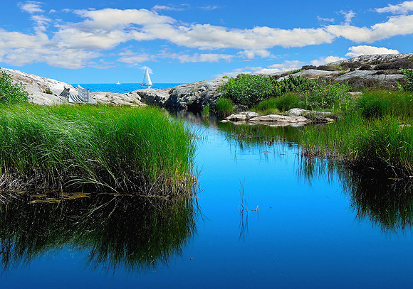 Sea Marsh