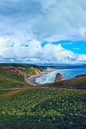 South Cape Blanco