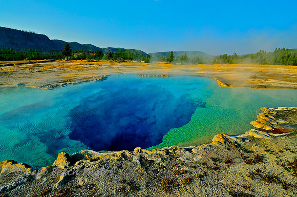 Blue Sapphire Pool