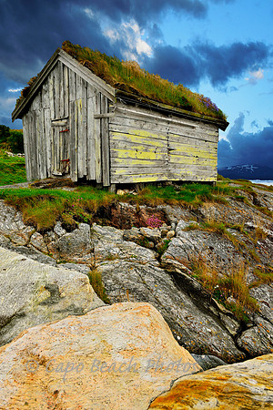 Ona Rock Shed