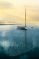 Hazy Morning Sailboat_Chilmark Pond_Martha's Vineyard