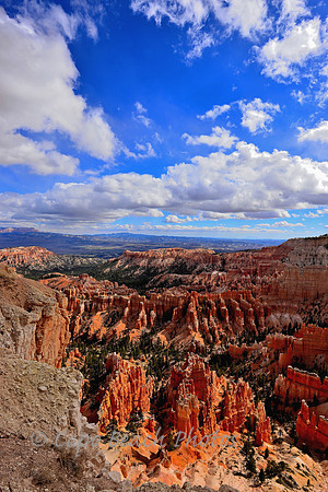Bryce Point