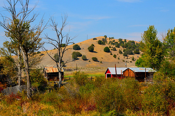 Miners Homestead