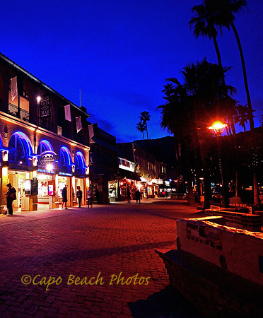 Avalon Nights