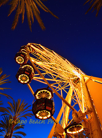 Wheel Of Fortune