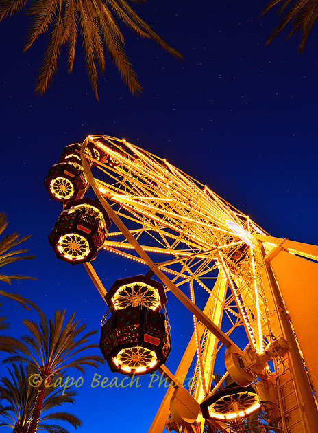 Wheel Of Fortune